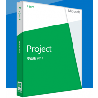 ΢project 2013 pro רҵ װproject 2013