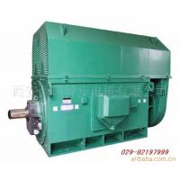 供应淮安西玛电机YKS4507-10 280KW 6KV  高压电机 西安电机厂