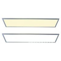 LED  ƽ 칫300*1200ƽ