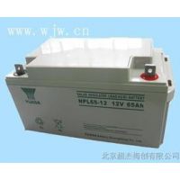 ǳNPL65-12 