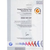 OHSAS180012007