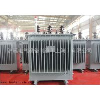 S11-50KVA ͽʽѹ10/0.4v ͽʽѹ250kva