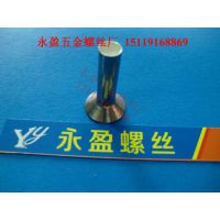 佛山顺德螺丝厂-平头旋压铆钉-平头实心铆钉-不锈钢平锥头销轴