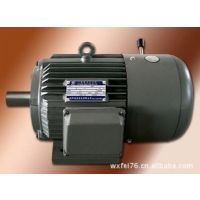供应YEJ315L2-4  200KW 380V西安西玛电机三相异步交流电磁制动电机