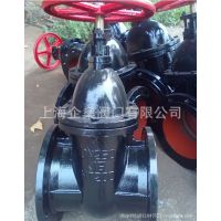 供应球墨铸铁Z41T明杆闸阀、Z45T/X软密封弹性座封闸阀 &6