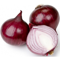 Ӧо˹ڰǹ·