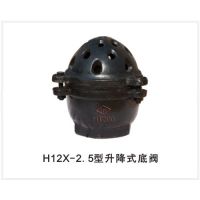 ֱH12X-2.5˿۵׷