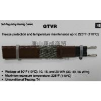 Raychem٩ܴԵ20QTV2-CTȴ