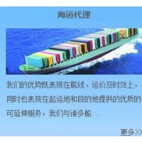广州到日本东京Tokyo海运出口服务