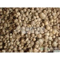 供应旱半夏-油用牡丹-航天丹参