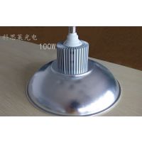 LED  LED100W