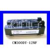  IGBT ģ CM300DY-12NF