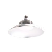 LED  LED100W