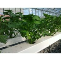 ��Ӧ��Ӧ�������й۹���̬ũҵ��������չʾ������ɫ������ֲ����