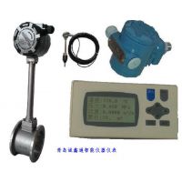 山东橡胶行业压缩空气流量计 蒸汽流量计 LUGB涡街流量计