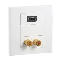  HDMI