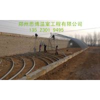 供应简易拱棚建造和安装 郑州建设拱棚注意事项