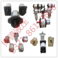 BHM1A0-R-7.6-Q1	BAP1.5Q0-S-6-PX	BHP2B1-D-28齿轮油泵