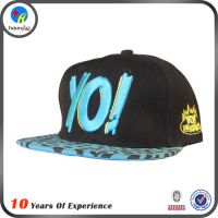 Ӧʱк˳Ҷ ñ ñ  snapbackñ