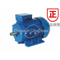 YVF2-355L-12 110KW 380V IP54 ׃l{(dio)ஐ늄әC(j)