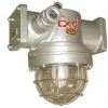 ӦһʽDGS70/127NB)úø͸ѹƵƣ˫оѹƵ70W70WˮƵ