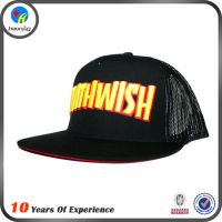 Ӧרҵñ ʱؼƽñ snapbackñ