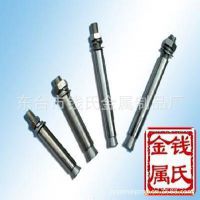江苏东台生产厂家供应各种不锈钢膨胀螺丝 可加工定制等