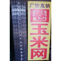 ӦȦõ纸