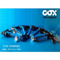 ӢCOXֶǹƷӦɹ