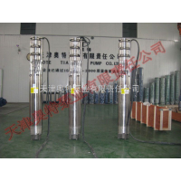 250QH150-160/110KW304Ǳˮ