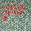 ӦάʵĳpengyueԾ13605488595