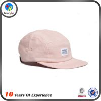 ˳ҳڹӦʱаññ ***ƽñemboridery cap