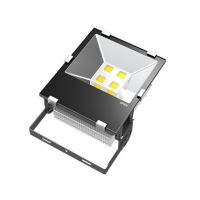 10W-200W,˫//о,,γAC100-277V,ƬLEDͶ/