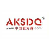 爱克赛电气有限公司