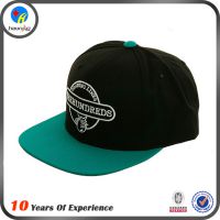 Ӧ˸ҶֱŮñ snapbackñ