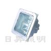 供应RNFC9100防眩棚顶灯,RNFC9100防眩泛光灯