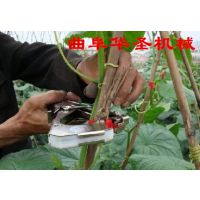 丝瓜秧绑枝机 菜农专用绑枝机 花园/苗圃绑枝机嫁接机