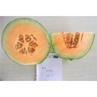 ƹƷ-