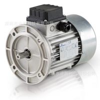 意大利电机MOTOVARIO 确保低价确保正品