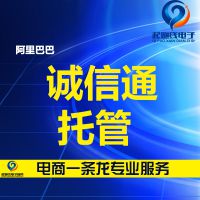 ***运营托管 旺铺装修托管 网站托管 诚信通拖管运营