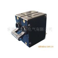 【廠家直銷】供應(yīng)D30  2P  1A-30A設(shè)備斷路器  低壓設(shè)備用斷路器