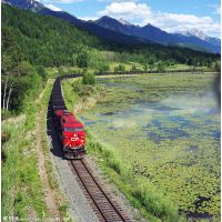 临沂发铁路到中亚五国塔什干梅杰乌比什凯克阿拉木图