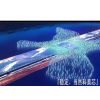 ӦLEDʾ