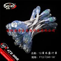 5V12¶׺߲RGBȫܷˮƴLED12MMⷢɫƹ洩׵