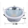 (yng)LedͲ12W