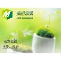 苏州美新景观工程有限公司