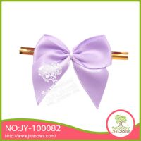 JY100082¸ ˿С ִ 