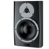 Ӧ Dynaudio BM12A Դ