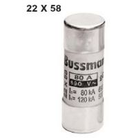 ӦC22G100   100A/500V   Bussmann۶
