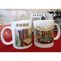 Ӧմɱ˱ɫƷ0951-7834516